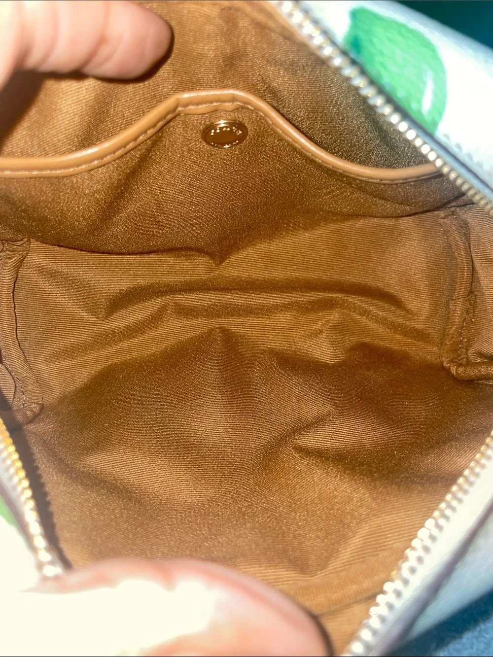 Coach Cream Cosmetic Pouch with Green Lime Print